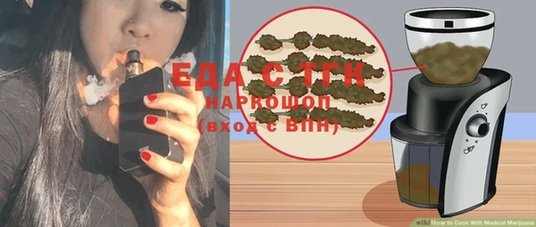 spice Гусев
