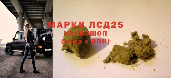 spice Гусиноозёрск