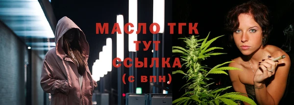 spice Гусев
