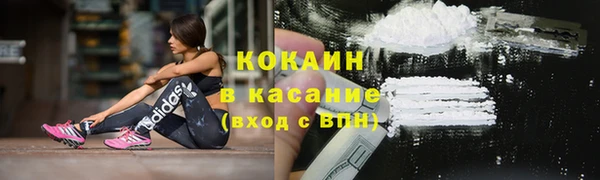 spice Гусев