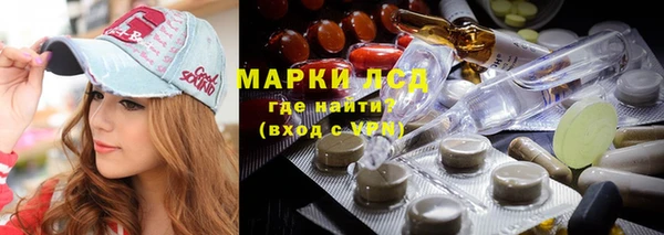 spice Гусиноозёрск