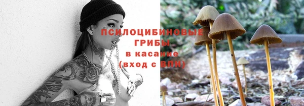 spice Гусиноозёрск