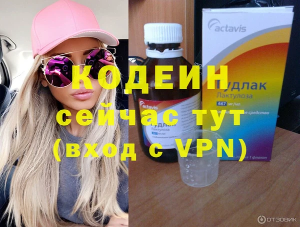 spice Гусиноозёрск